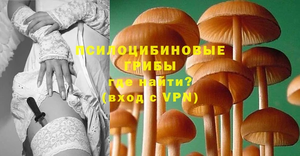 гидропоника Тында