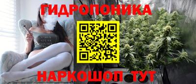 герыч Бердск