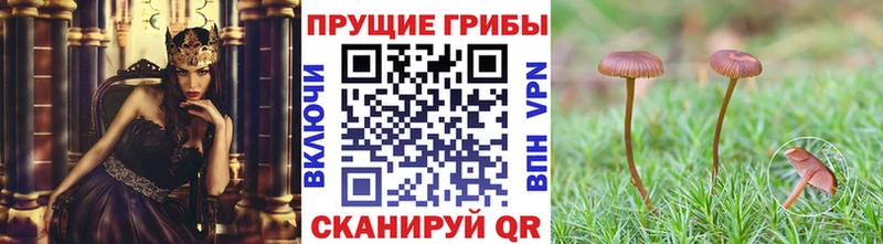 Галлюциногенные грибы мухоморы  цена   Тында 